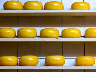 Valgomo dangalo iš rūgščių išrūgų ultafiltrato su biokomponentais bei biopakuotės panaudojimas probiotinio sūrio saugos ir kokybės užtikrinimui